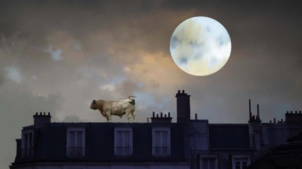 Boeuf sur le toit Boeuf sur le toit